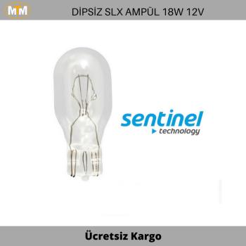 T15 16W Dipsiz Ampül 12V (2 Adet)