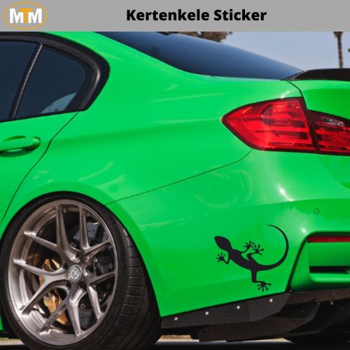 Kertenkele Oto Sticker