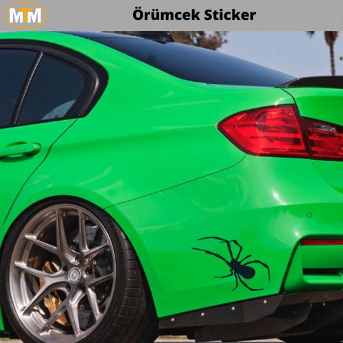 Örümcek Oto Sticker